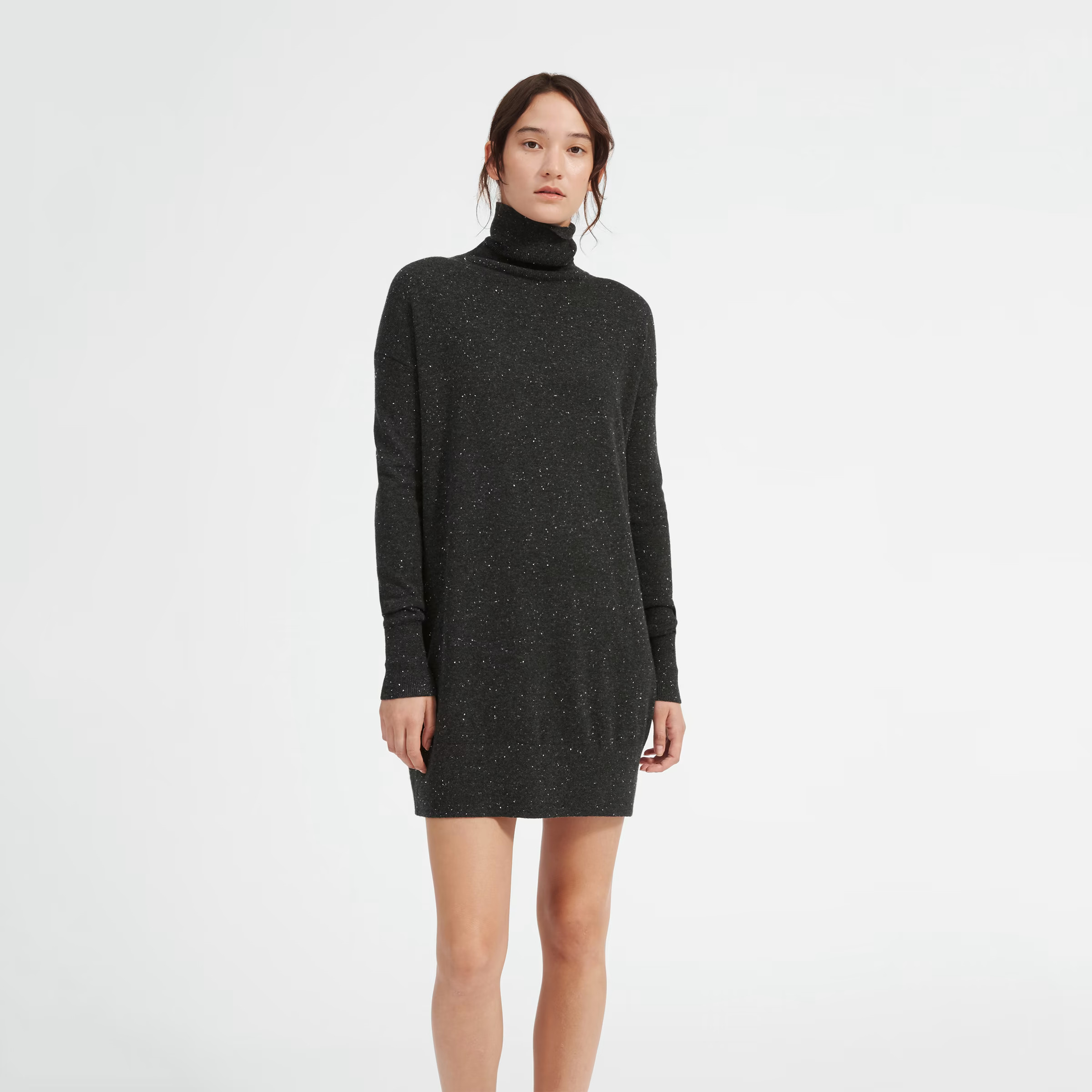 The Cashmere Turtleneck Mini Dress | Everlane