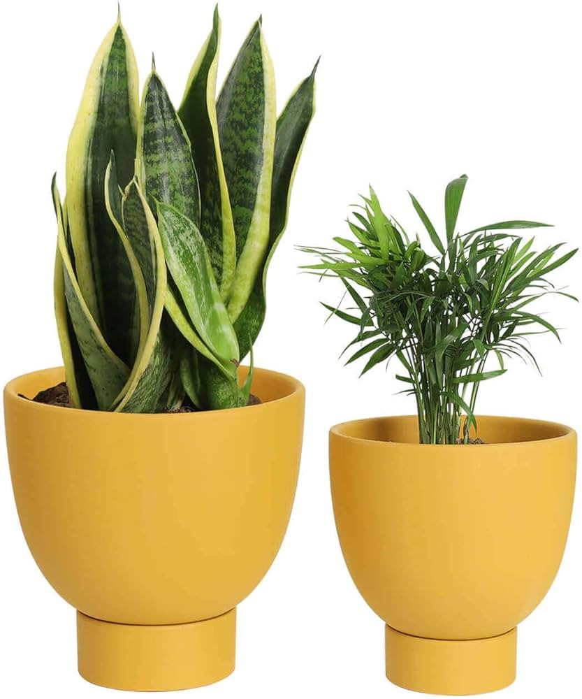 Yellow Terracotta Self Watering Plant Pot - 2 PCS 6 Inch & 8 Inch Terra Cotta Plant Pot with Drai... | Amazon (US)