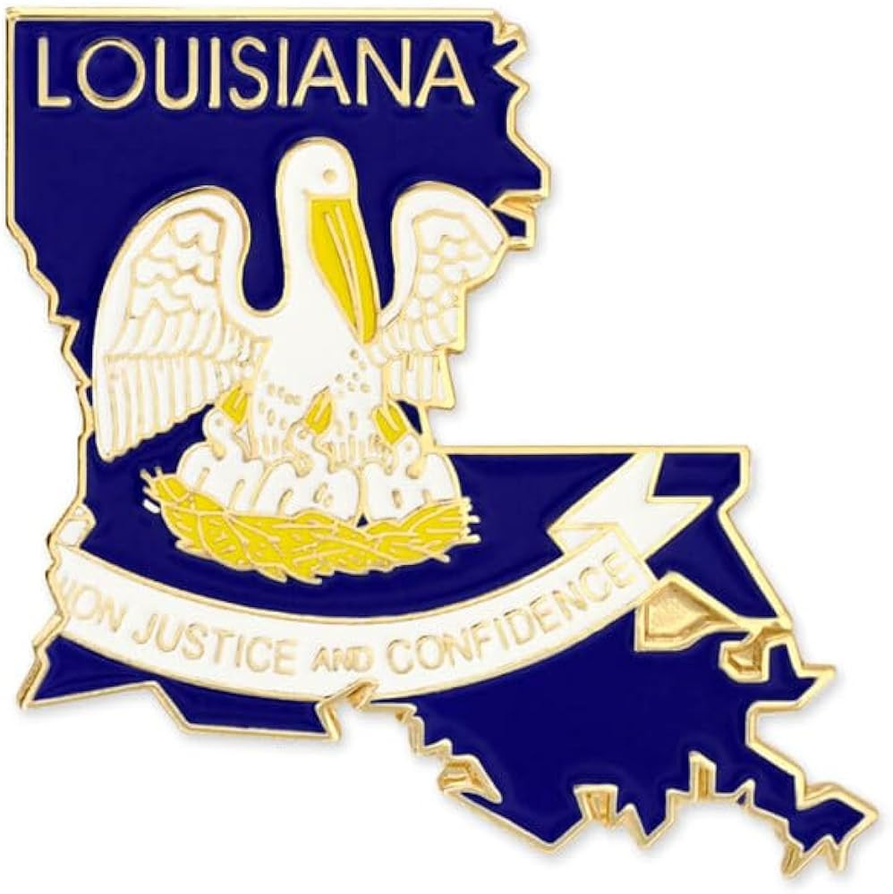 PinMart State Shape Flag Lapel Pin | Amazon (US)