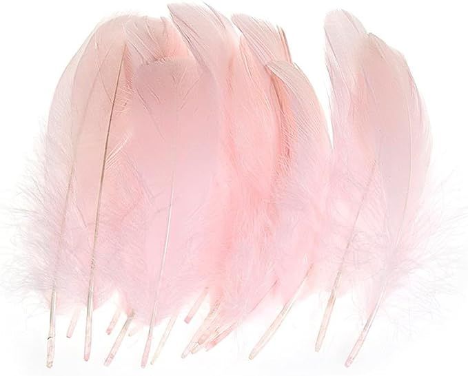 AWAYTR 100 Pcs Nature Goose Feathers for DIY Craft Wedding Home Party Decorations (Pink) | Amazon (US)