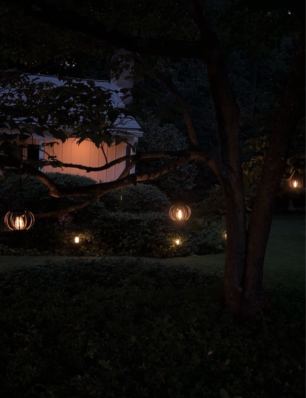 Hanging Solar Lights I recently put under a tree I have in my yard, the small lights look so cute at night & dainty.  I had to play around with placing them for sun exposure but once I got good spots they work great

#LTKSeasonal #LTKHome