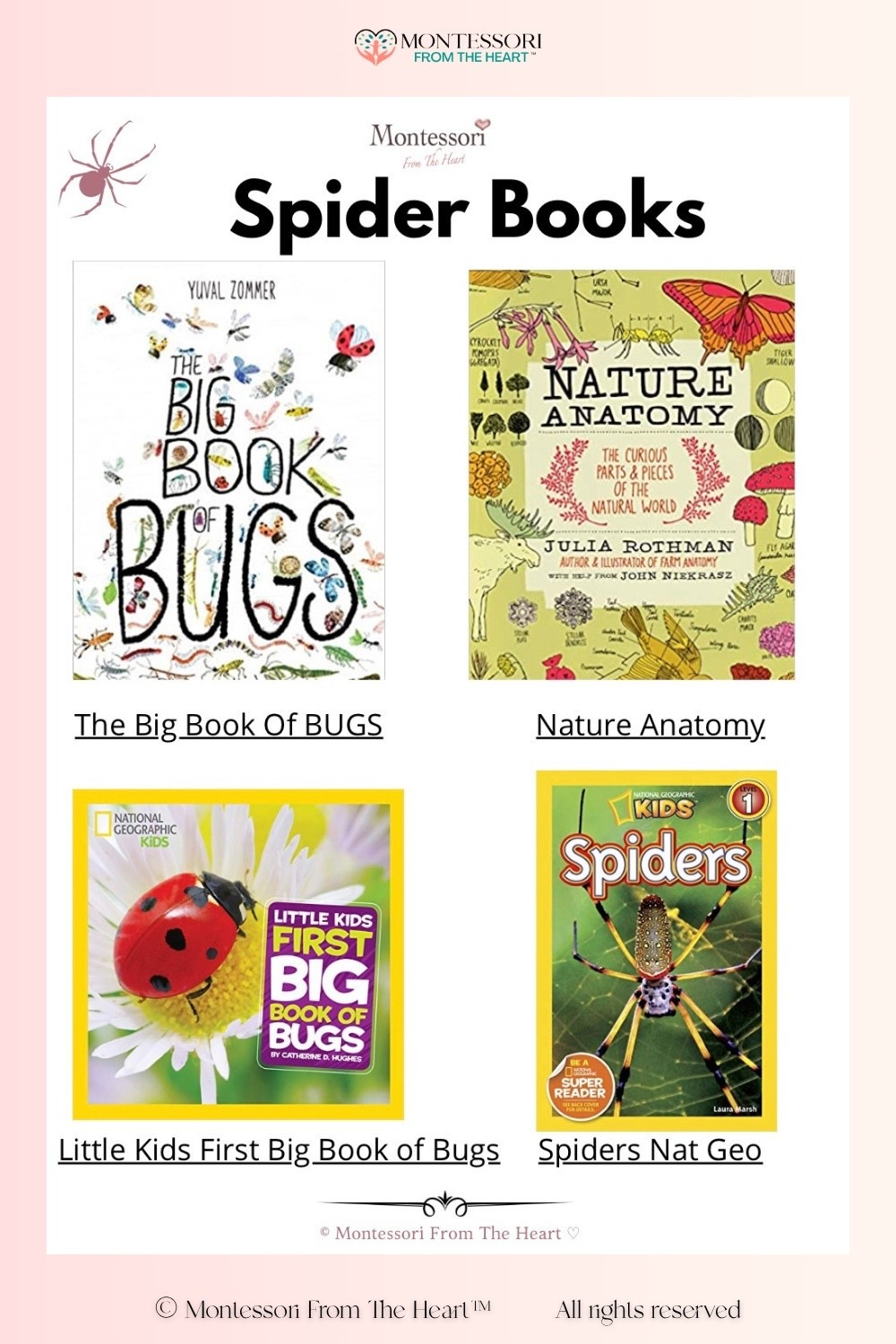 Spider Books for Kids 

#LTKstorytime #LTKHome #LTKKids