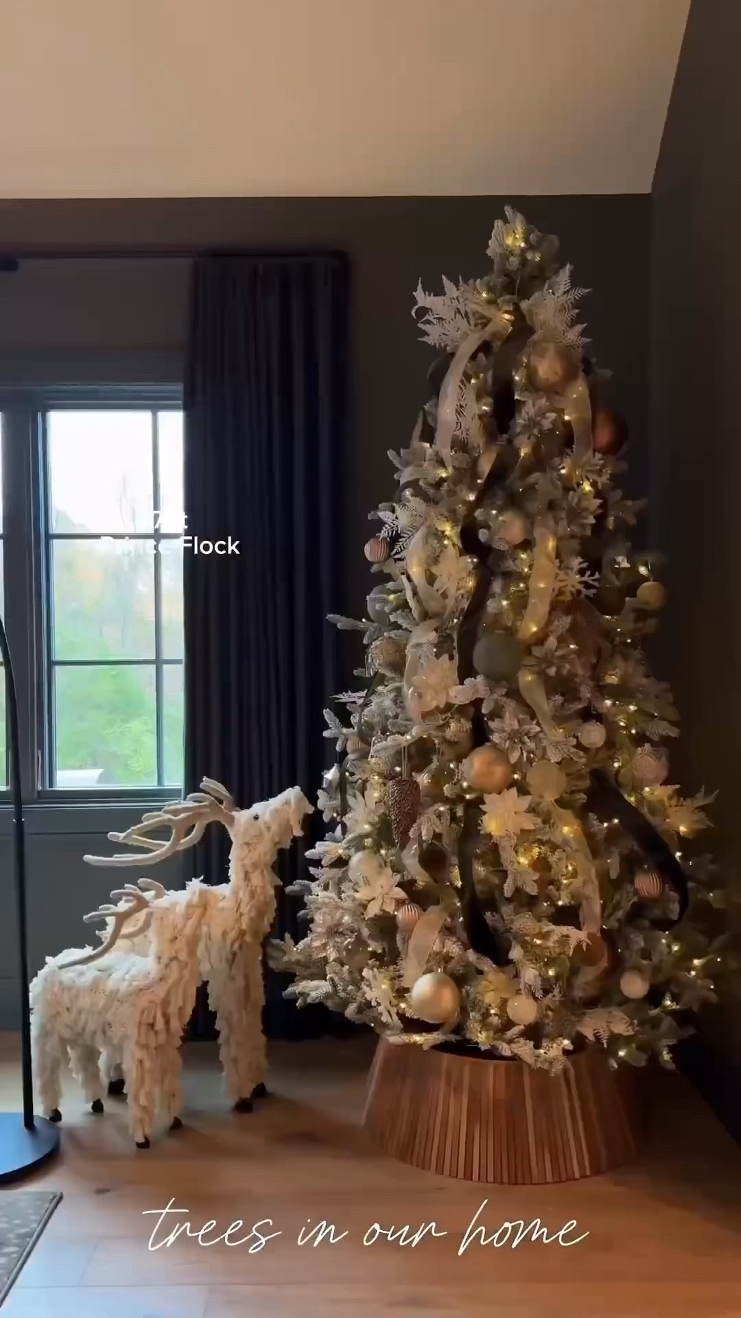 Details of the three trees we have around our home! Linking all three here with the details on the video of what height/shapes we have!