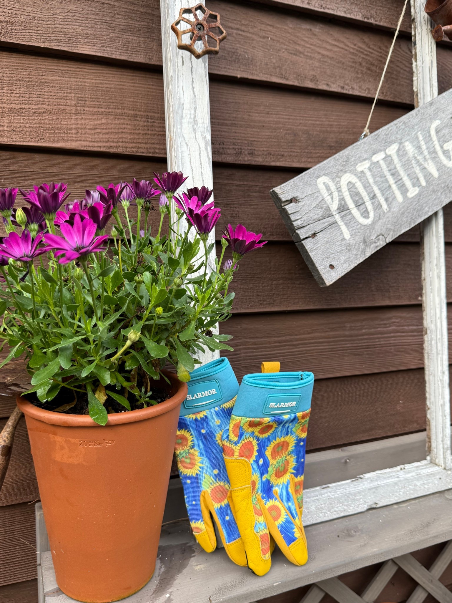 Love my new garden gloves! They come in several colors/patterns! Thorn proof and touch point use on forefinger and thumb. 

#LTKSeasonal #LTKActive #LTKHome