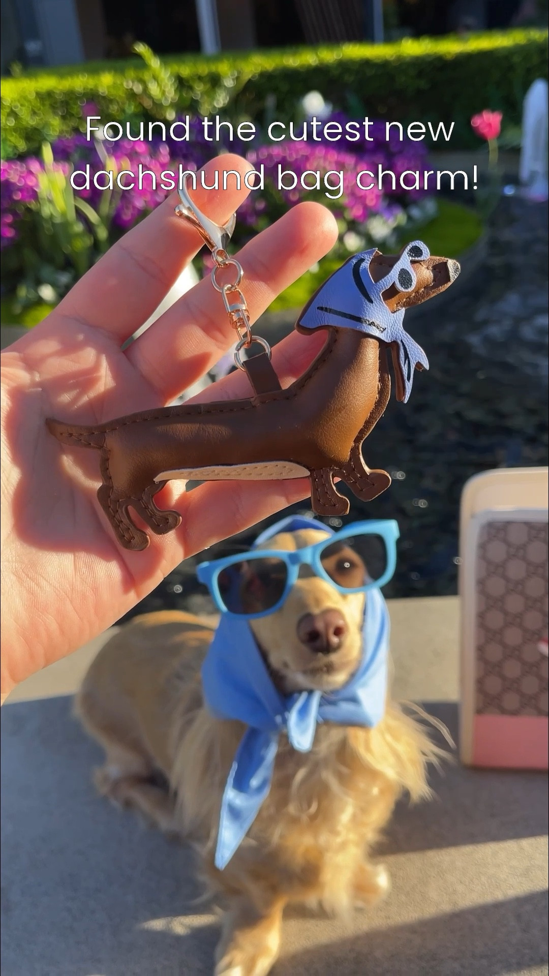 Obsessed with this dachshund bag charm and it’s under $16! Selling fast!

.

.

.

.

( dachshund finds, doxie bag charm, dachshund mom, dachshund keychain, dachshund fashion, dachshund accessories, dachshund gift, gifts for dachshund lovers, wiener dog bag charm, sausage dog bag charm, weenie dog, dog mom, dog bag charms, purse charm, Gucci dachshund bag, Gucci dachshund bag charm, ae dachshund bag charm, american eagle dachshund bag charm, dachshund find, #dachshund #bagcharm #dachshundfinds )

#LTKFestival #LTKootd #LTKSpringSale