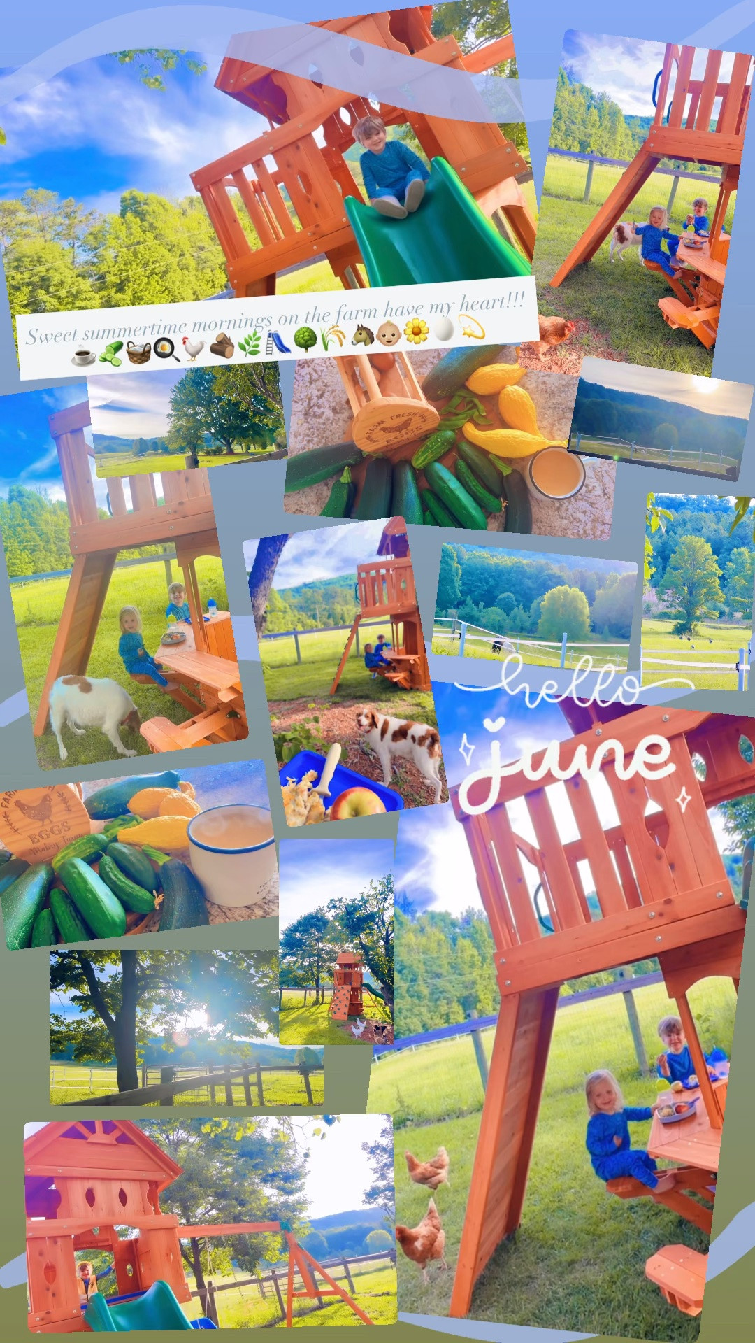 Sweet summertime mornings on the farm have my heart!!! ☕️🥒🧺🍳🐓🪵🌿🛝🌳🌾🐴👶🏼🌼🥚💫