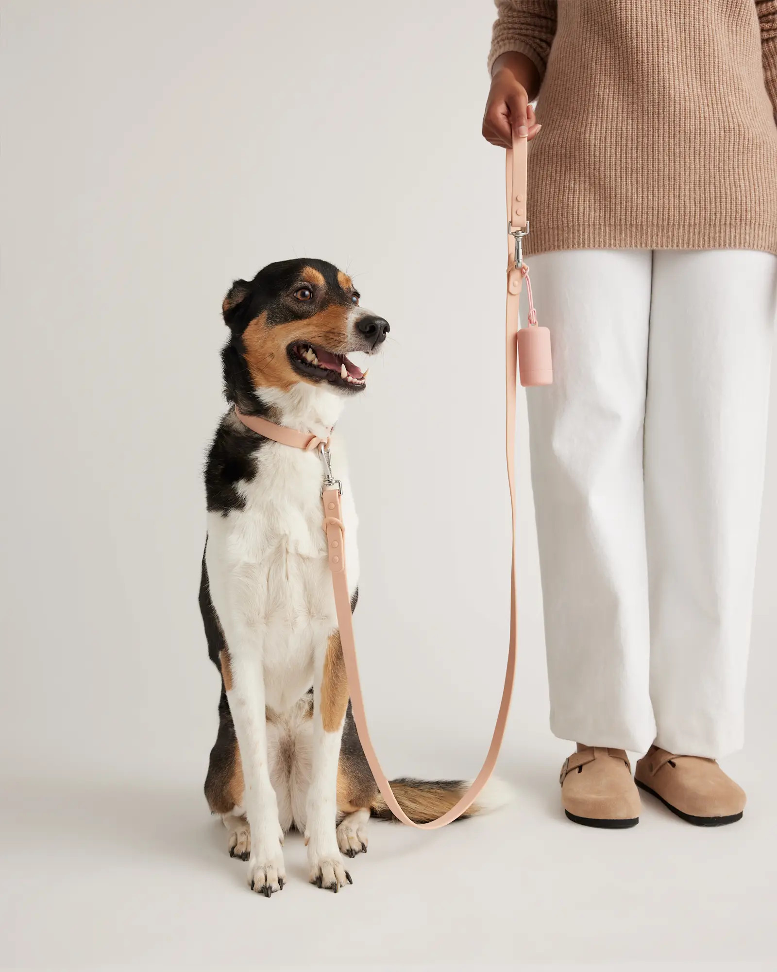 Dog Collar Walk Kit | Quince
