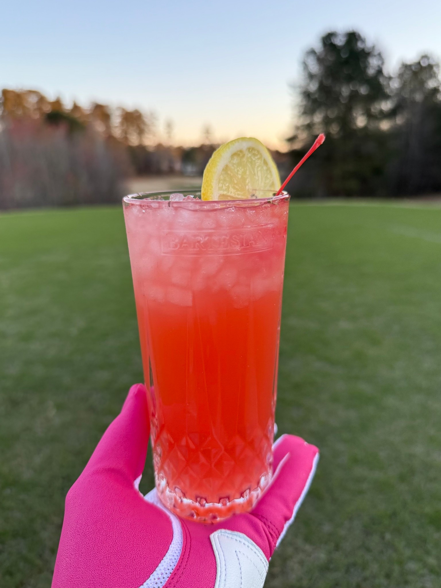 I’m in love with Bartesians’s new drink, the Southern Blossom. It’s delicious and made with vodka and garnished with a cherry and fresh slice of lemon. 🍋 

#LTKOver40 #LTKParties #LTKHome