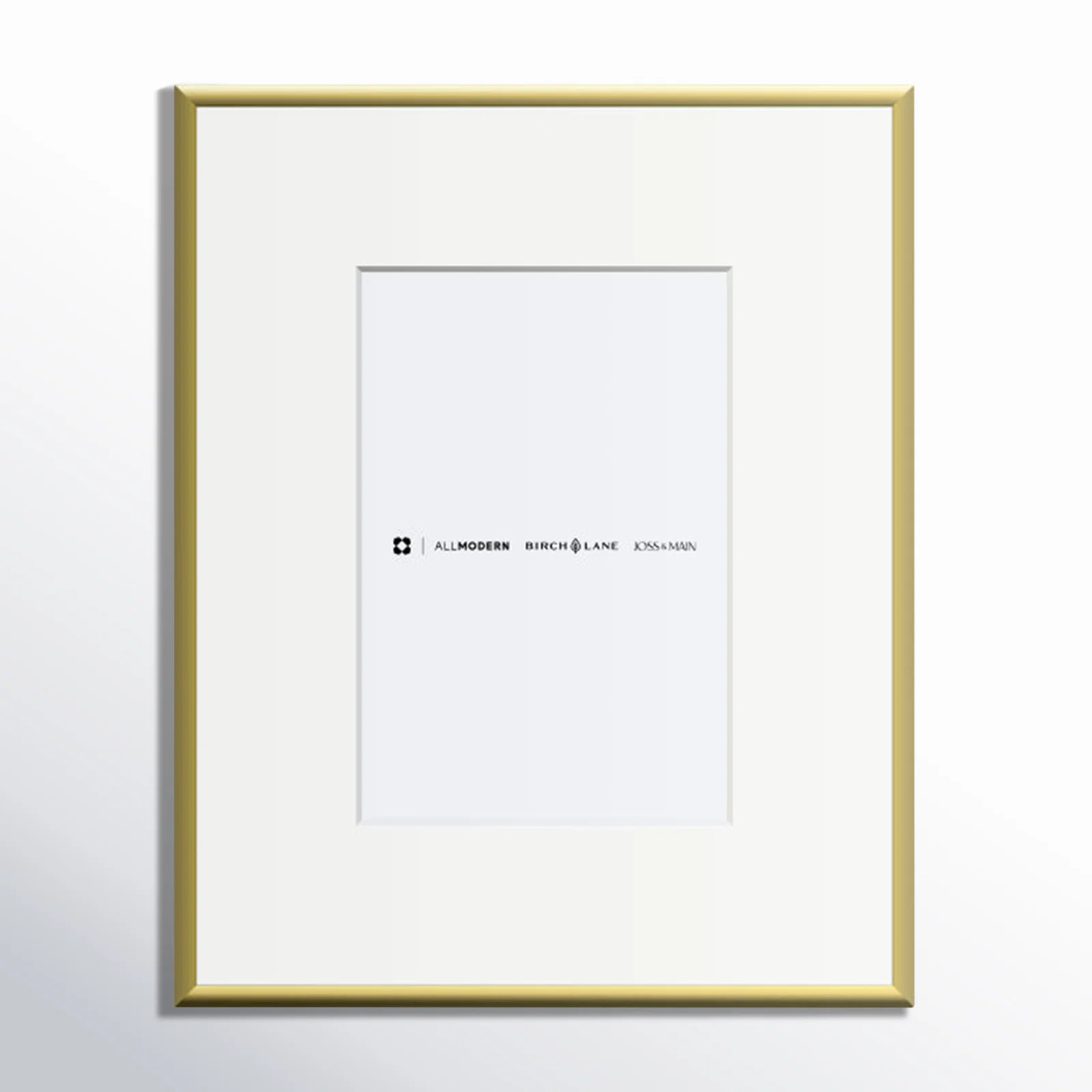 Feronia Metal Picture Frame with Mat | Joss & Main