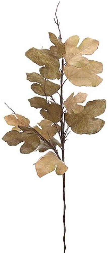 Arcadia Silk Plantation 47" Fig Leaf Spray Olive Green Tan (Pack of 6) | Amazon (US)