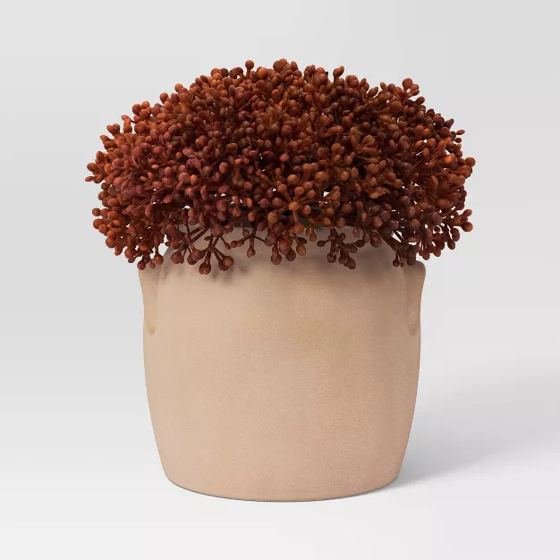 Large Sedum Arrangement Red - Threshold™ | Target