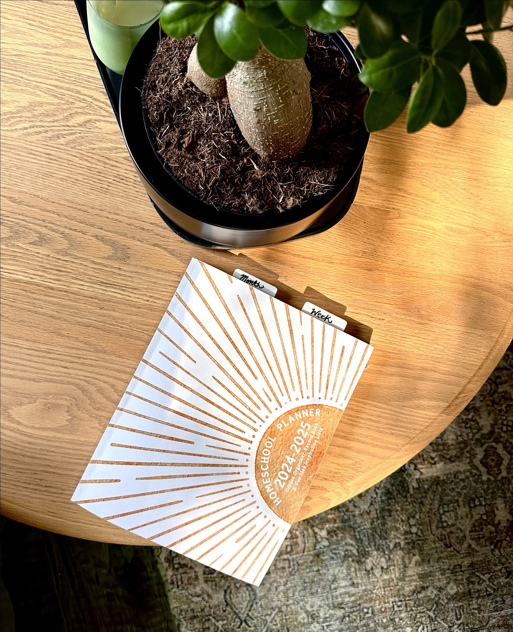 The perfect homeschool planner!!
#homeschool #planner 
