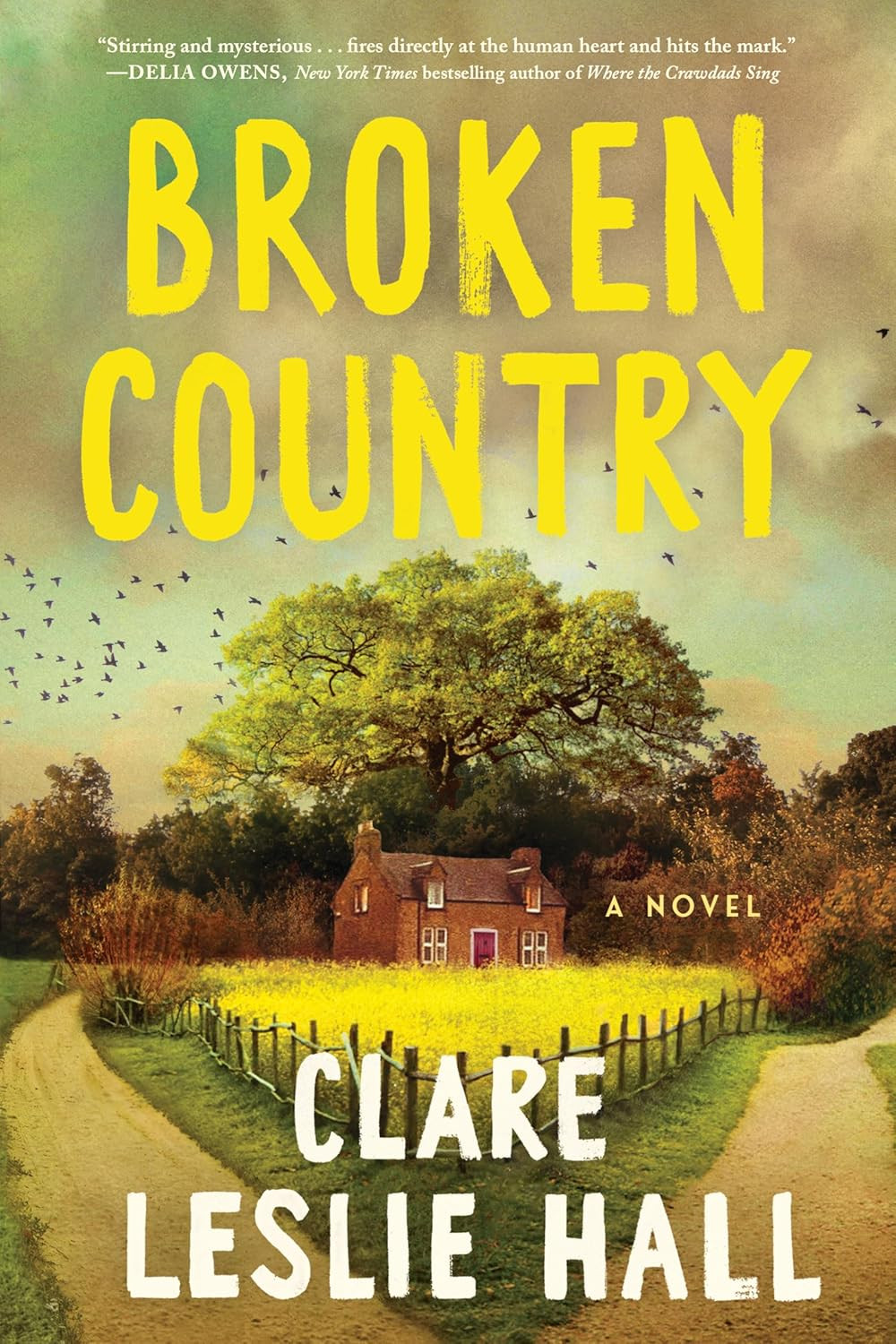 Broken Country | Amazon (US)