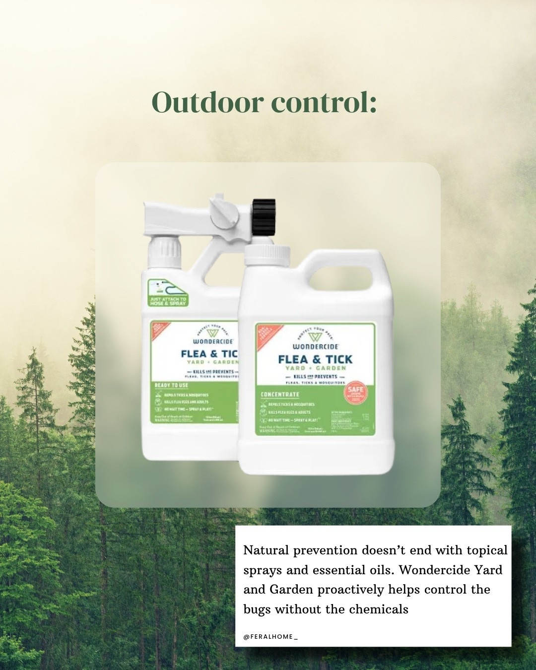 Happy spring… the ticks are back - but here’s what’s always been helpful for us 👇🏼

First and foremost we do not use any form of pesticides in this house. Having Vinny, him being all of 4lbs forced me to explore gentler options for bug care and frankly, I never looked back. I use all these products on the big dogs too 

Most conventional treatments (like Seresto Flea & Tick Collar) rely on neurotoxic pesticides

🚩 Ingredients to watch for:

* Imidacloprid
* Flumethrin
* Fipronil
* Permethrin

These work by attacking a parasite’s nervous system… but your dog is still absorbing small amounts over time. Many smaller breeds are affected more by this because their tiny  bodies are not able to tolerate it. If small dogs are at risk, in my opinion nobody should be exposed

Not when there are natural remedies that actually work 

These WORK:

* Cedarwood oil
* Lemongrass oil
* Geraniol
* Peppermint oil

(plant-based + naturally repellent)

Use topically & in kennels, outside spaces, breezeways, cars and any areas where bugs can hide 
Some extra favorites (not pictured but we have and actively use) you can safely use on dogs + yourself: 

* Primally Pure Bug Spray @primallypure 
* Kin + Kind Flea & Tick Spray @kinandkindofficial 

Why they work:
✔ Create a scent barrier bugs hate
✔ No pesticide buildup in the body
✔ Safe for frequent use (walks, hikes, yard time)

Internal support by @earthanimal1979 has worked wonders too when the seasons at its peak 

SMALL BUSINESSES & FEATURED BRANDS: 
@thehoofandpawco 
@dogswell 
@wholisticpetorganics 
@wondercide 
@earthanimal1979 
@juniper_grove_homestead 

#fleaandtickprevention #nontoxic #newenglandliving #dogs #LTKPets

#LTKActive #LTKvlog #LTKSeasonal