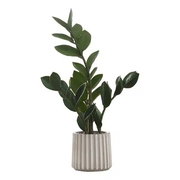 Artificial Plant, 20" Tall, Zz, Indoor, Faux, Fake, Table, Greenery, Potted, Real Touch, Decorati... | Bed Bath & Beyond