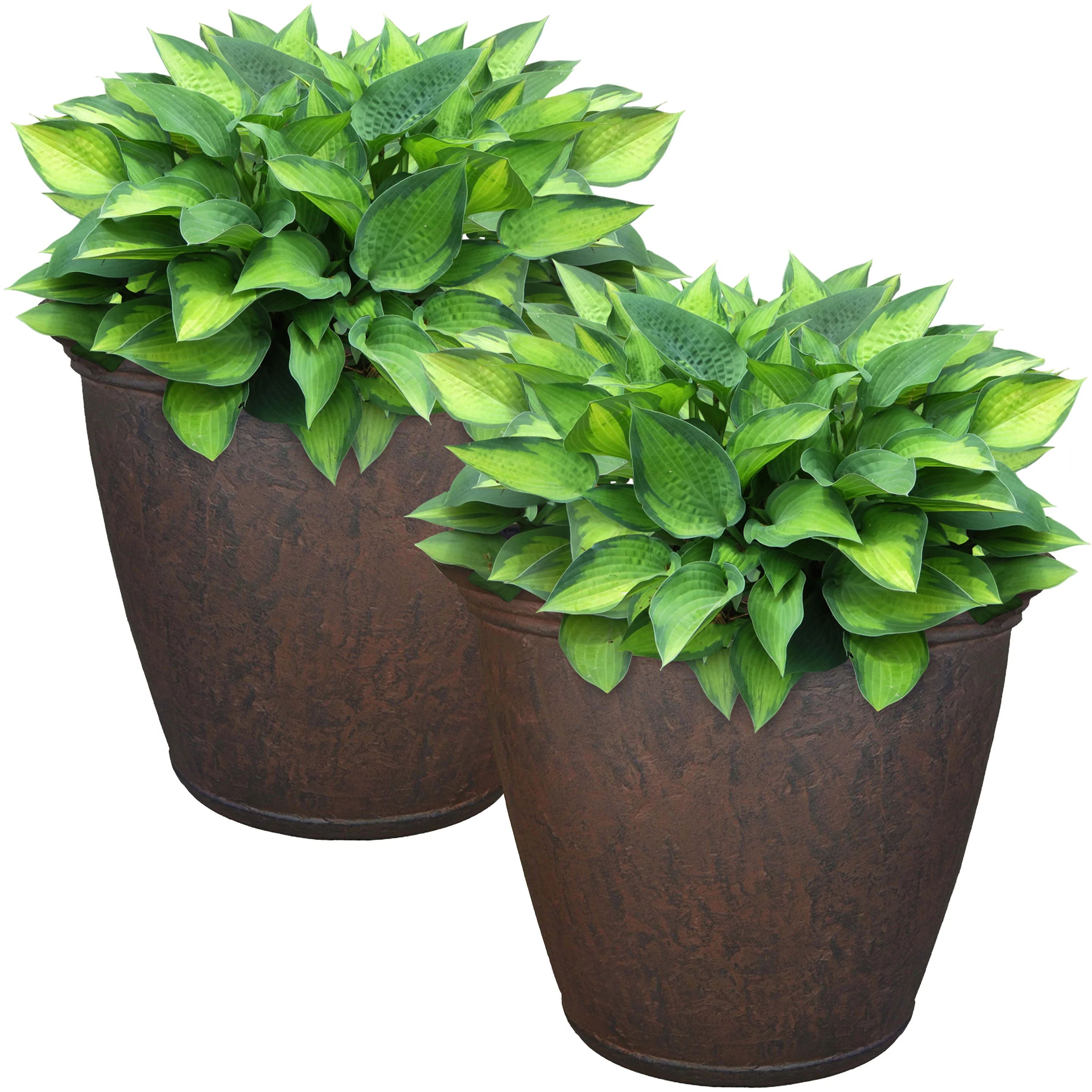 Sunnydaze Anjelica Flower Pot Planter, Outdoor/Indoor Unbreakable Double-Walled Polyresin with UV... | Walmart (US)