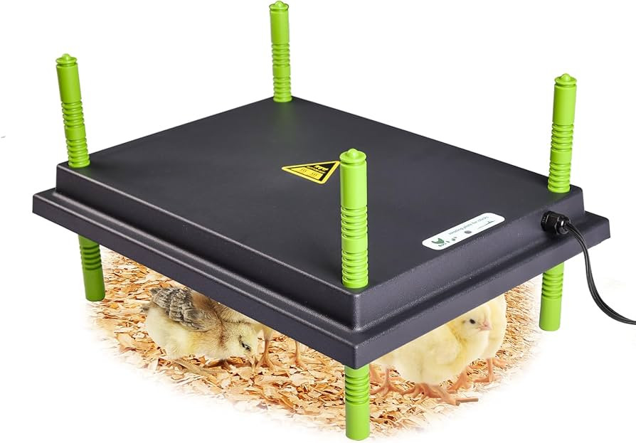Tetuga Chick Heating Plate - 12 x 16 Inch Chicken Heater Plate for Chicks with Adjustable Height ... | Amazon (US)