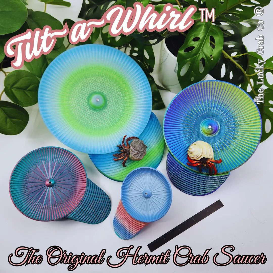 3D Printed Hermit Crab Tilt-a-whirl Saucer - the Lucky Crab Co. - Etsy | Etsy (US)