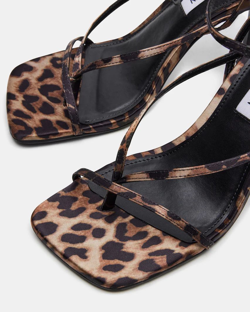 ANNIE Leopard Strappy Heel | Women's Square Toe Heel | Steve Madden (US)