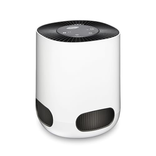 Clorox Air Purifiers for Bedroom Home, True HEPA Filter, Small Rooms Up to 200 Sq Ft, Removes 99.9% of Mold, Viruses, Wildfire Smoke, Allergens, Pet Allergies, Dust, AUTO Mode, Whisper Quiet | Amazon (US)