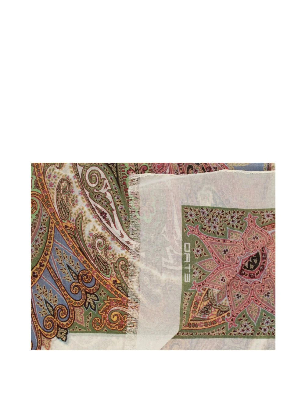Etro Paisley-Printed Frayed Edge Scarf | Cettire Global