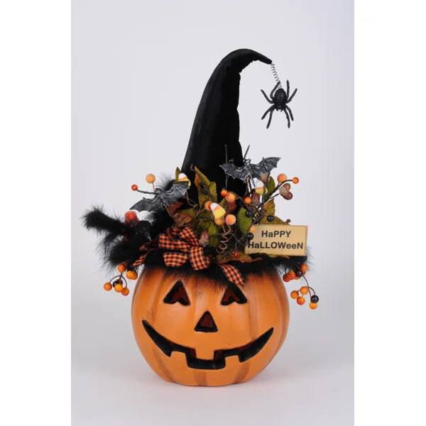 Decorative Accent | Wayfair North America