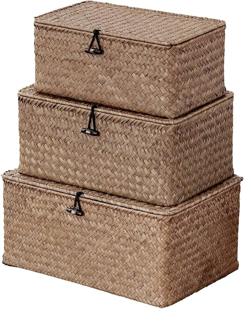 Nonam Seagrass Storage Baskets with Lid Set of 3,Wicker Basket Storage Bin for Shelves,Rectangula... | Amazon (US)