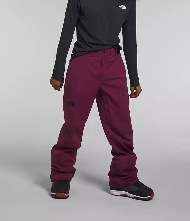 Men’s Freedom Stretch Pants | The North Face | The North Face (US)