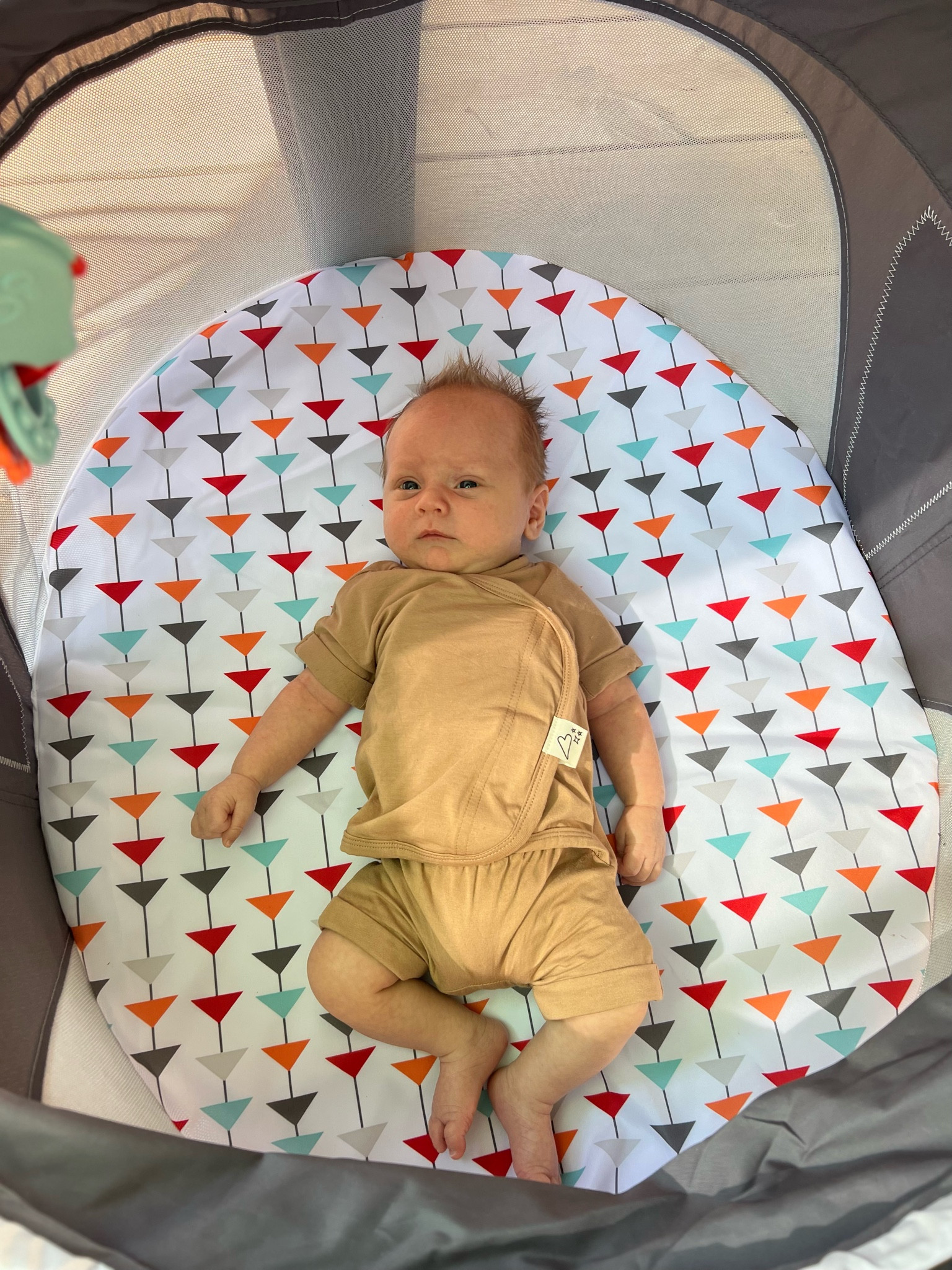 Summer baby dome! 

#LTKbaby #LTKbump #LTKGiftGuide