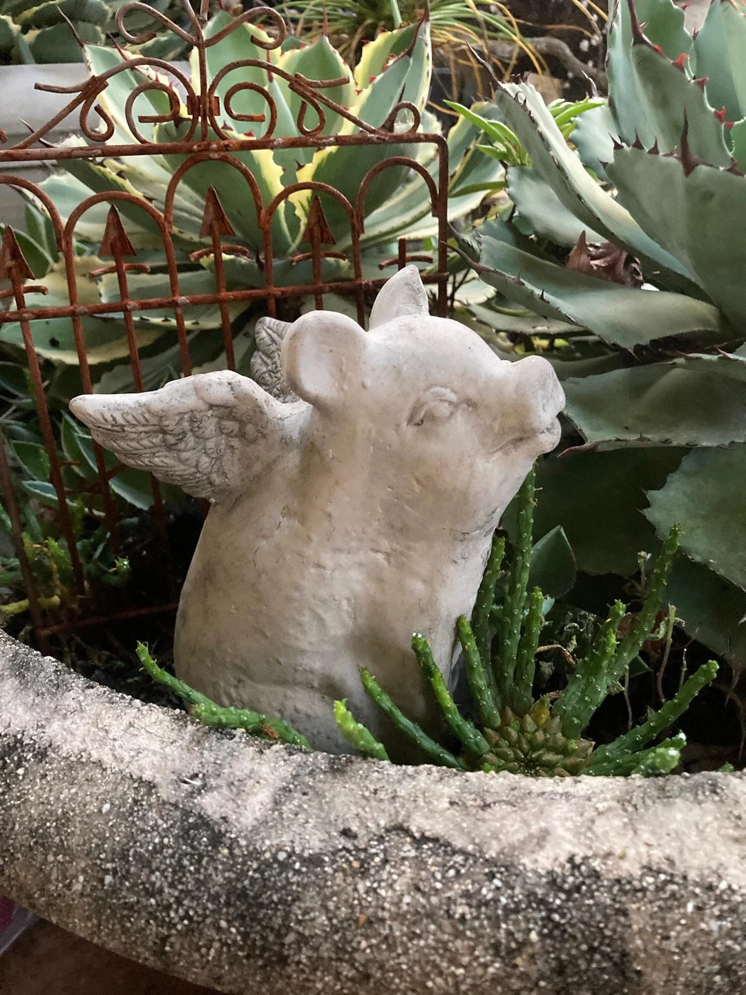 Cement Flying Pig Garden Statue | When Pigs Fly | Concrete Farm Animal Statue | Rustic Country De... | Etsy (US)