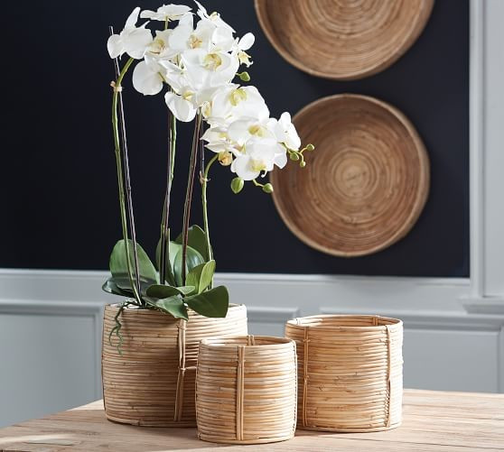 Cane Rattan Basket Sets | Pottery Barn (US)