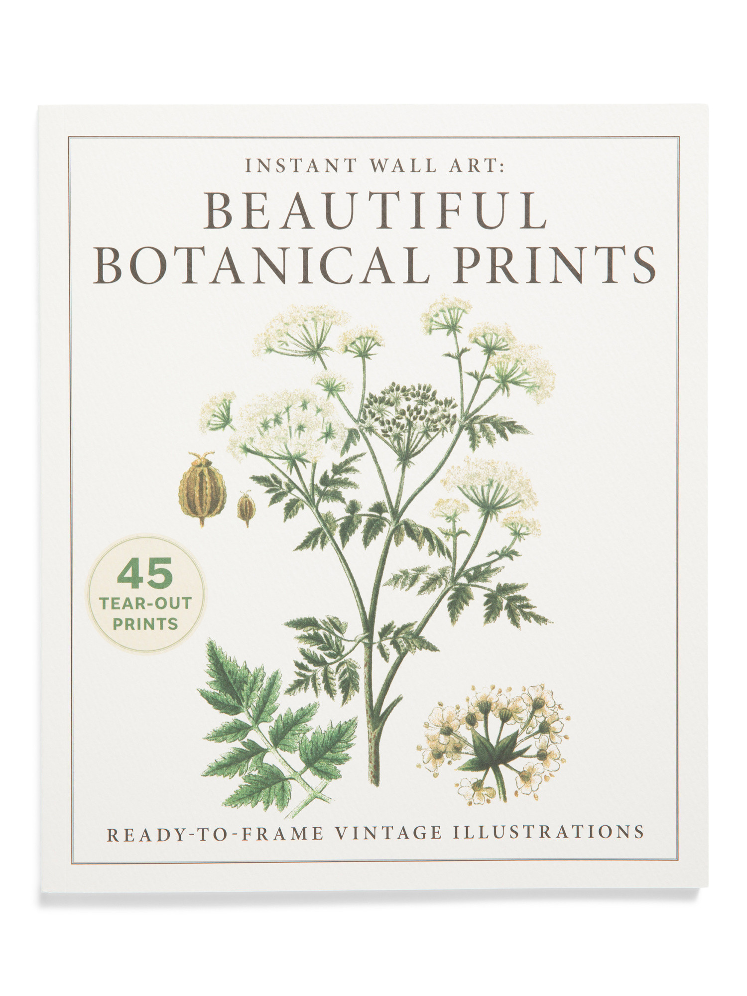 Instant Wall Art Beautiful Botanical Prints Book | Pillows & Decor | Marshalls | Marshalls