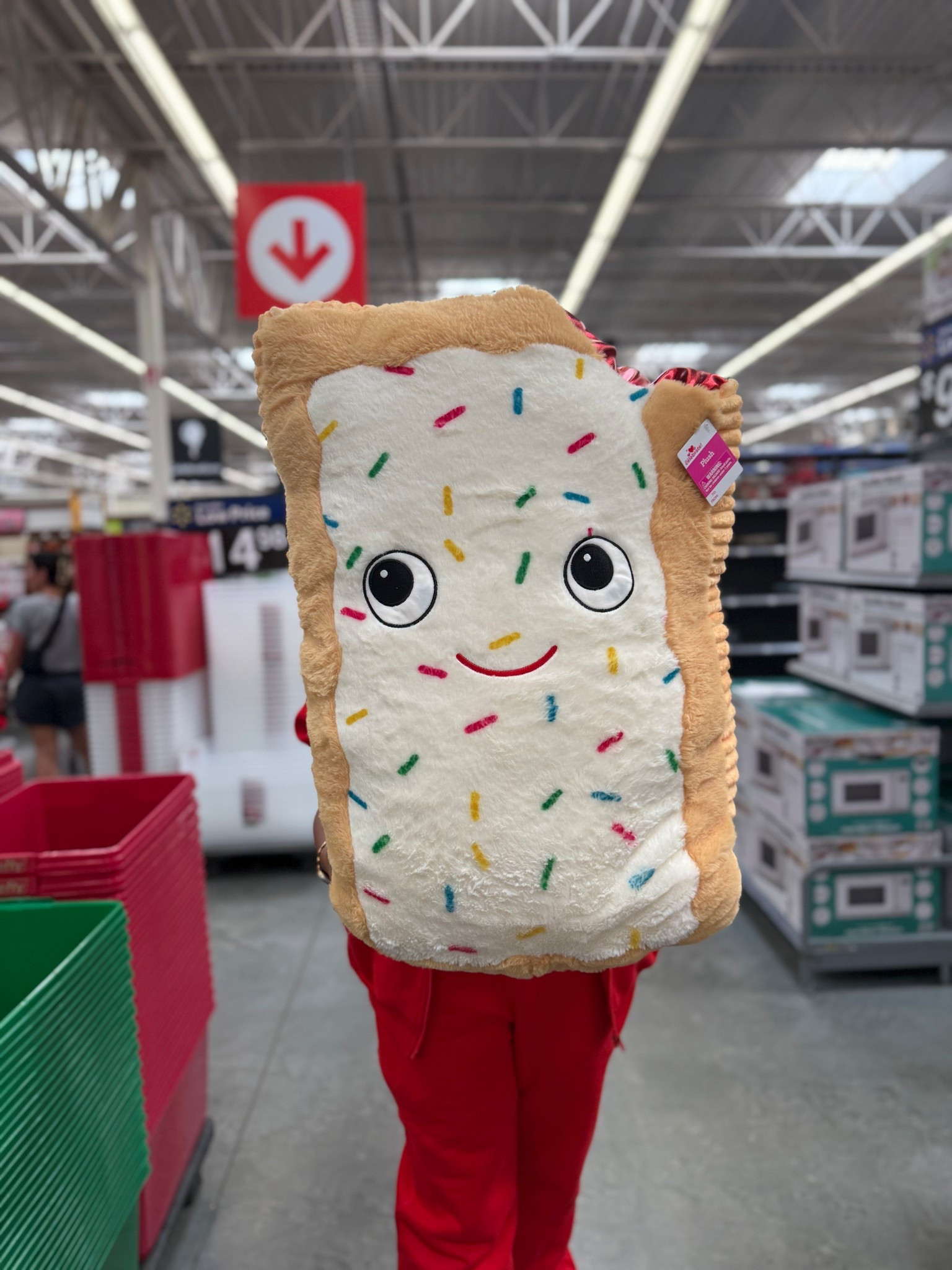 Look what’s back at Walmart! These cute plush giant pop tarts are back in 2 colors this time. Grab them while you can. 🥰

#LTKSeasonal