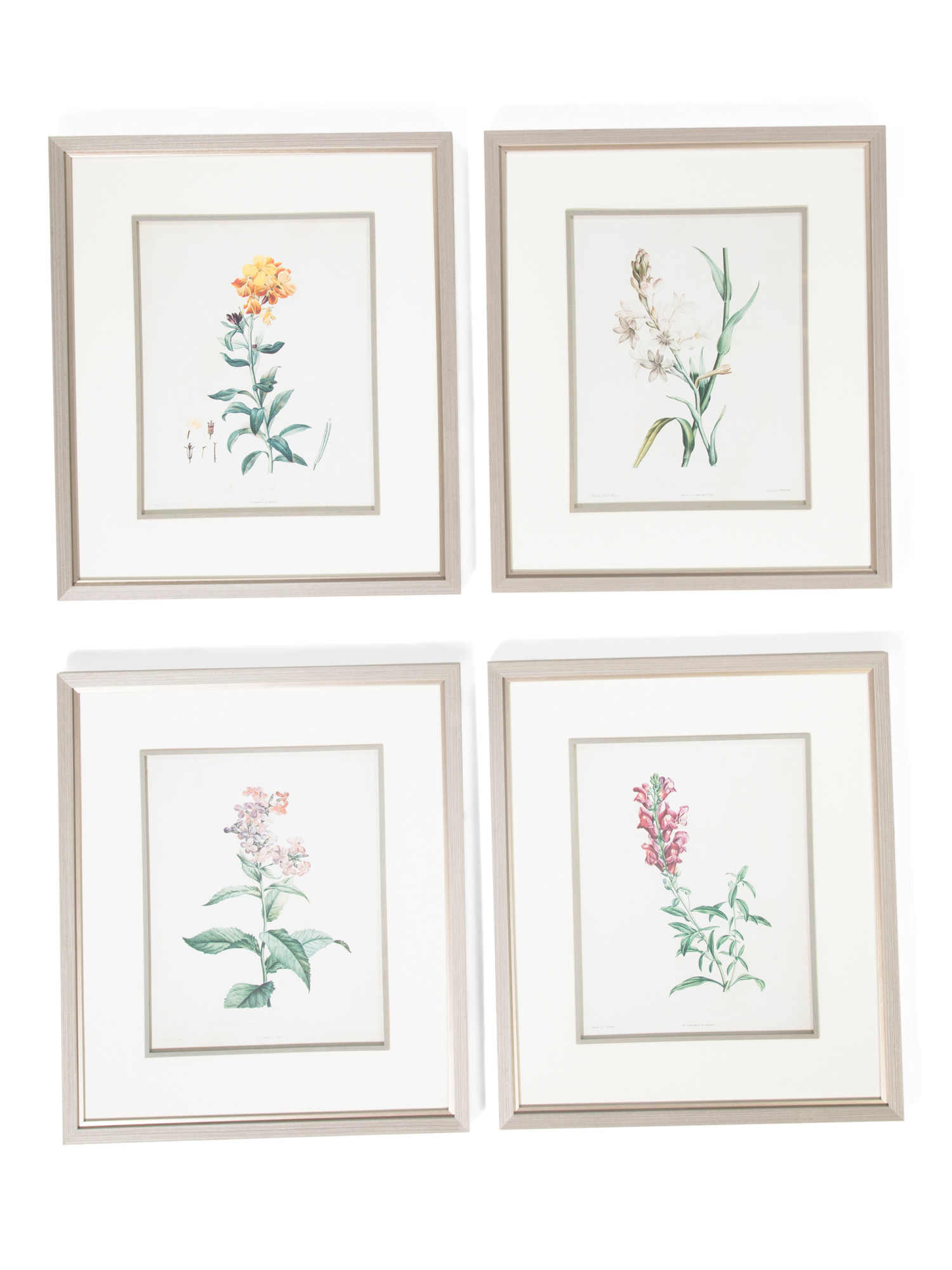 Set Of 4 26x30 Heirloom Blooms Study Framed Prints | Home | Marshalls | Marshalls