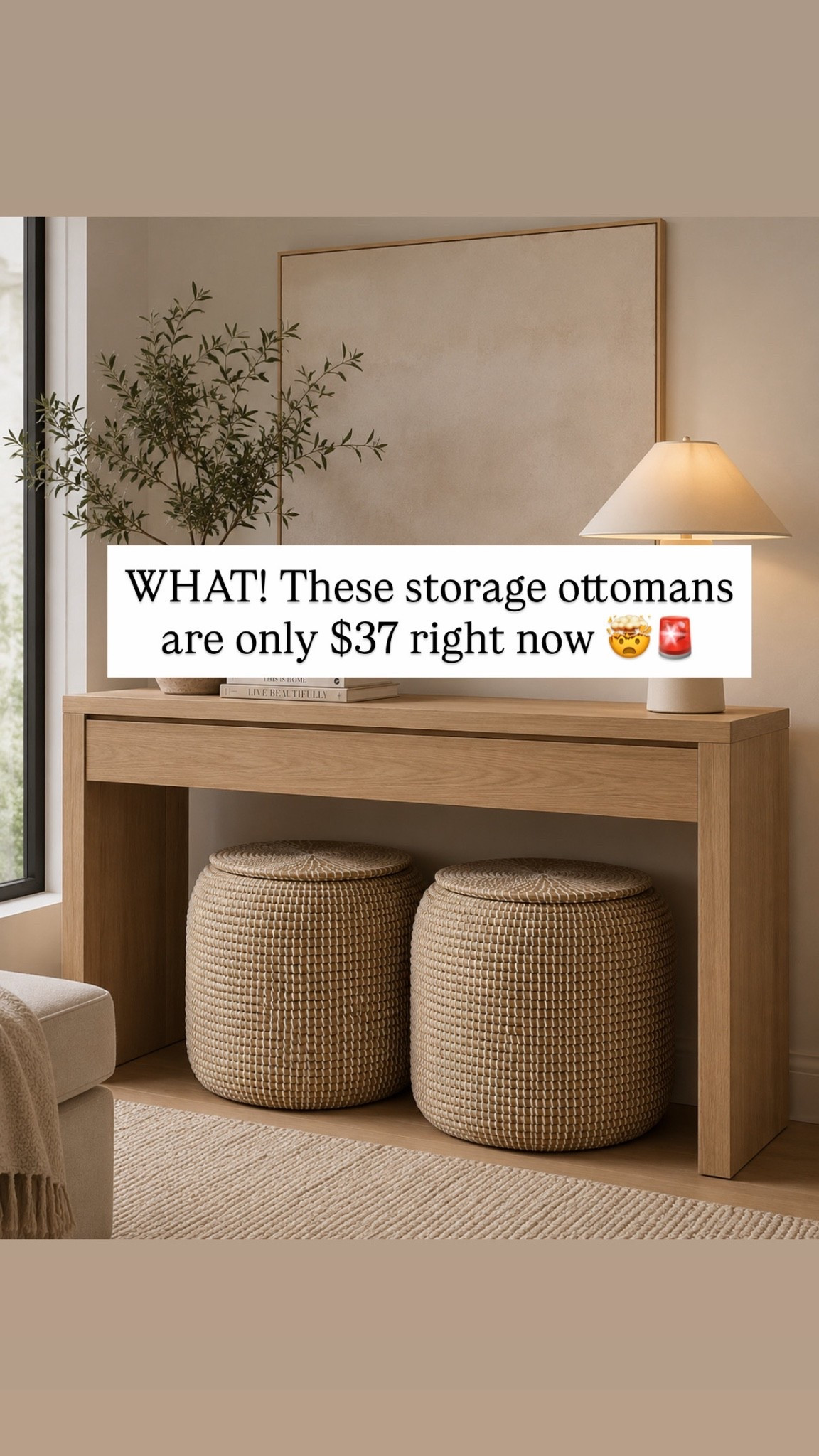 $37 storage ottoman sale 🤯😍🚨 will sellout!

#LTKmorningroutine #LTKmomlife