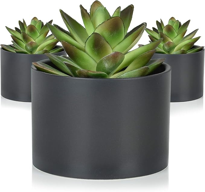 Matte Black Faux Potted Plant Succulent Decor - 3 Pack - Realistic Artificial Succulents for Mode... | Amazon (US)