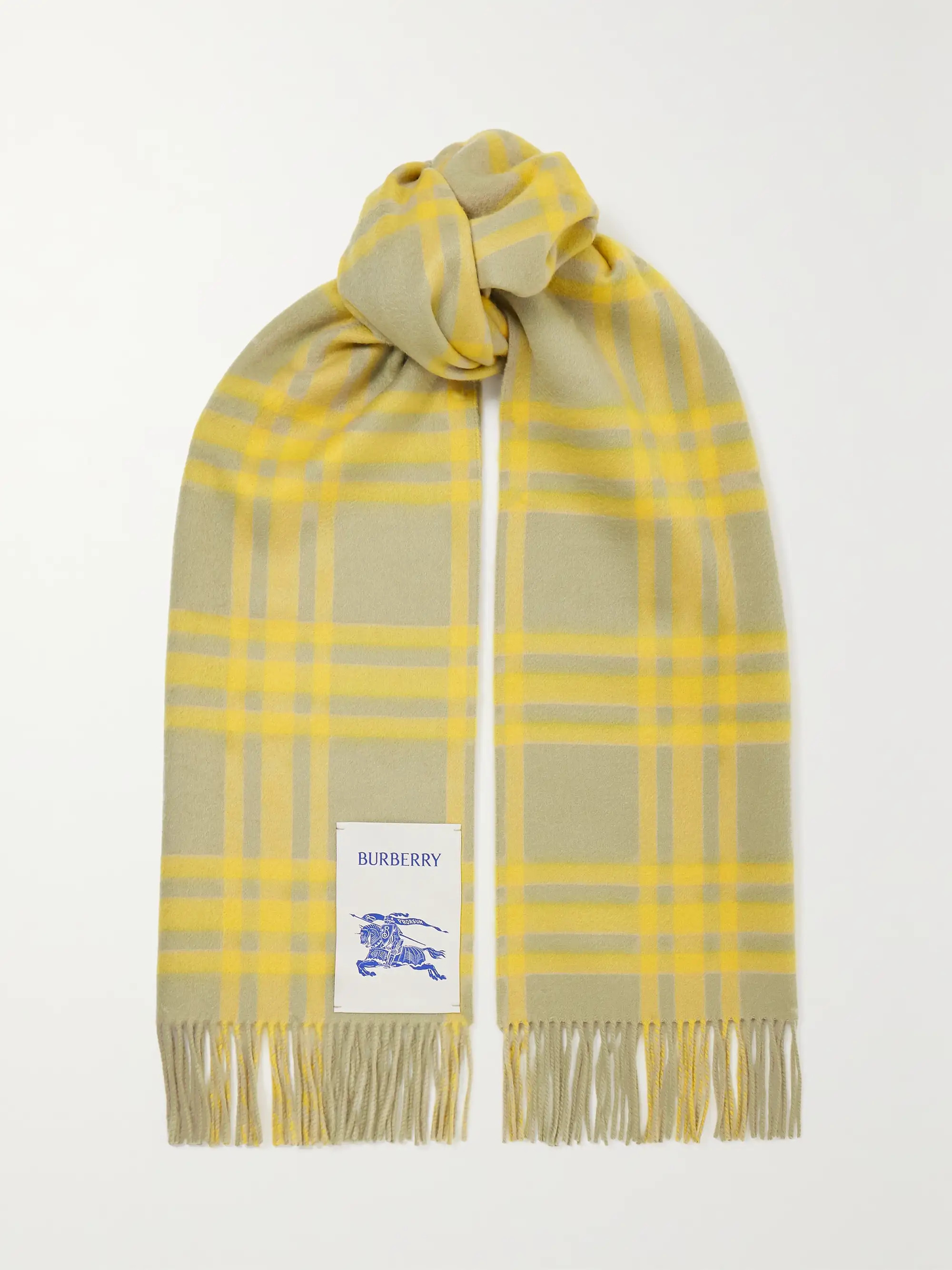 Appliquéd fringed checked cashmere scarf | NET-A-PORTER APAC