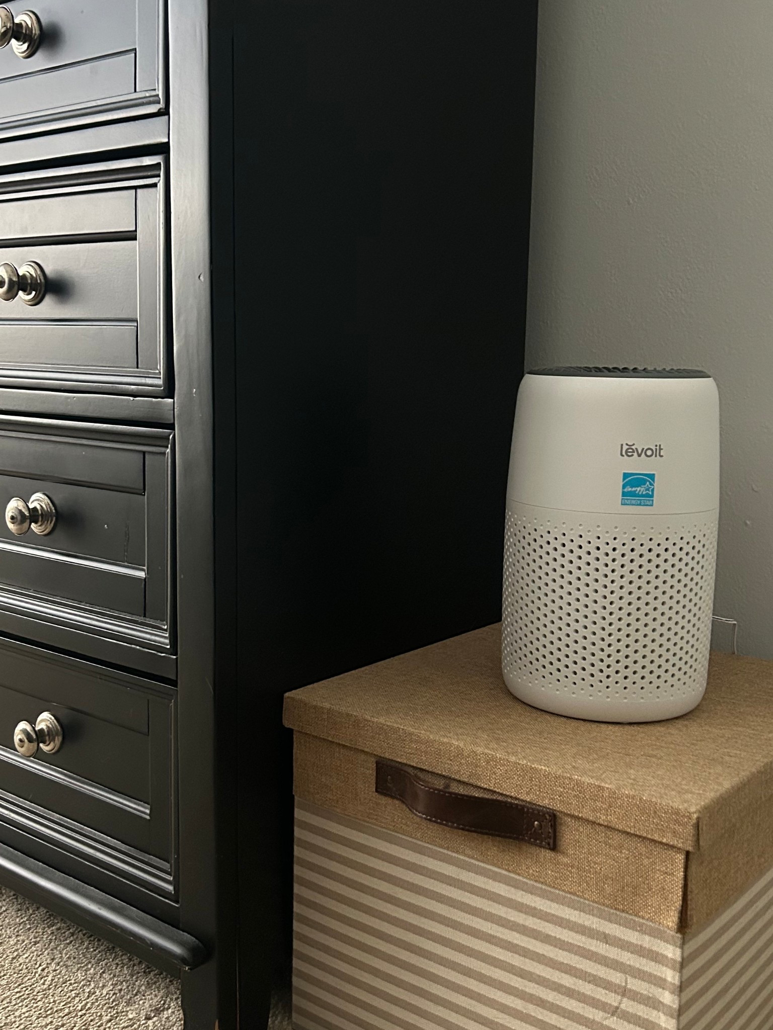 The way these air purifiers make our house smell like we do not in fact own two large dogs 👀

#LTKPets #LTKHome