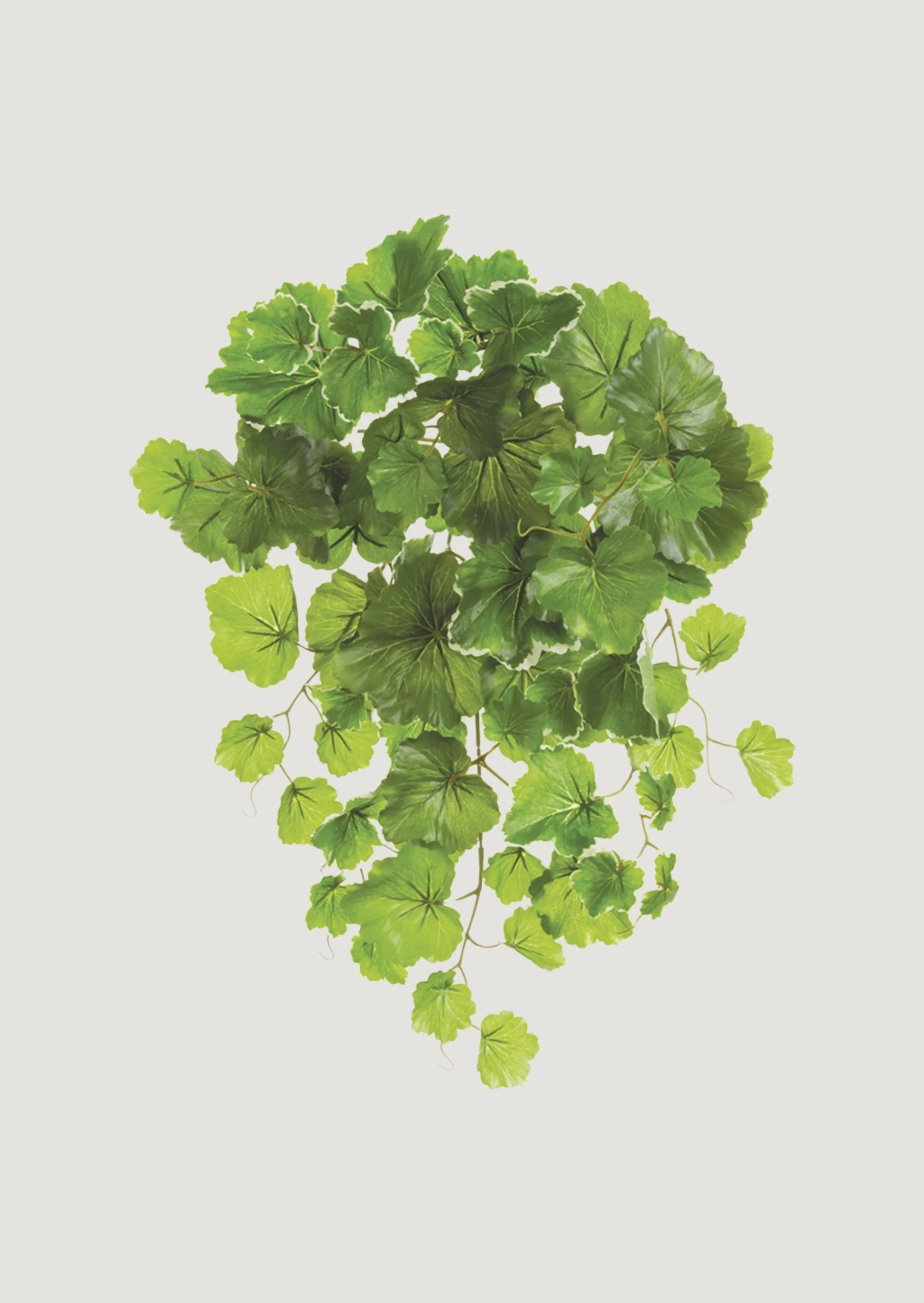 UV Treated Fake Indoor/Outdoor Hanging Geranium Plant - 21" | Afloral