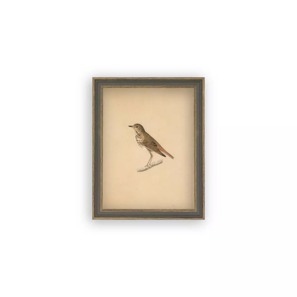 Petal Lane 7"x9" Bird Wall Art: Vintage Style Canvas, Framed in Gray Polystyrene, Earth Tone Mult... | Target