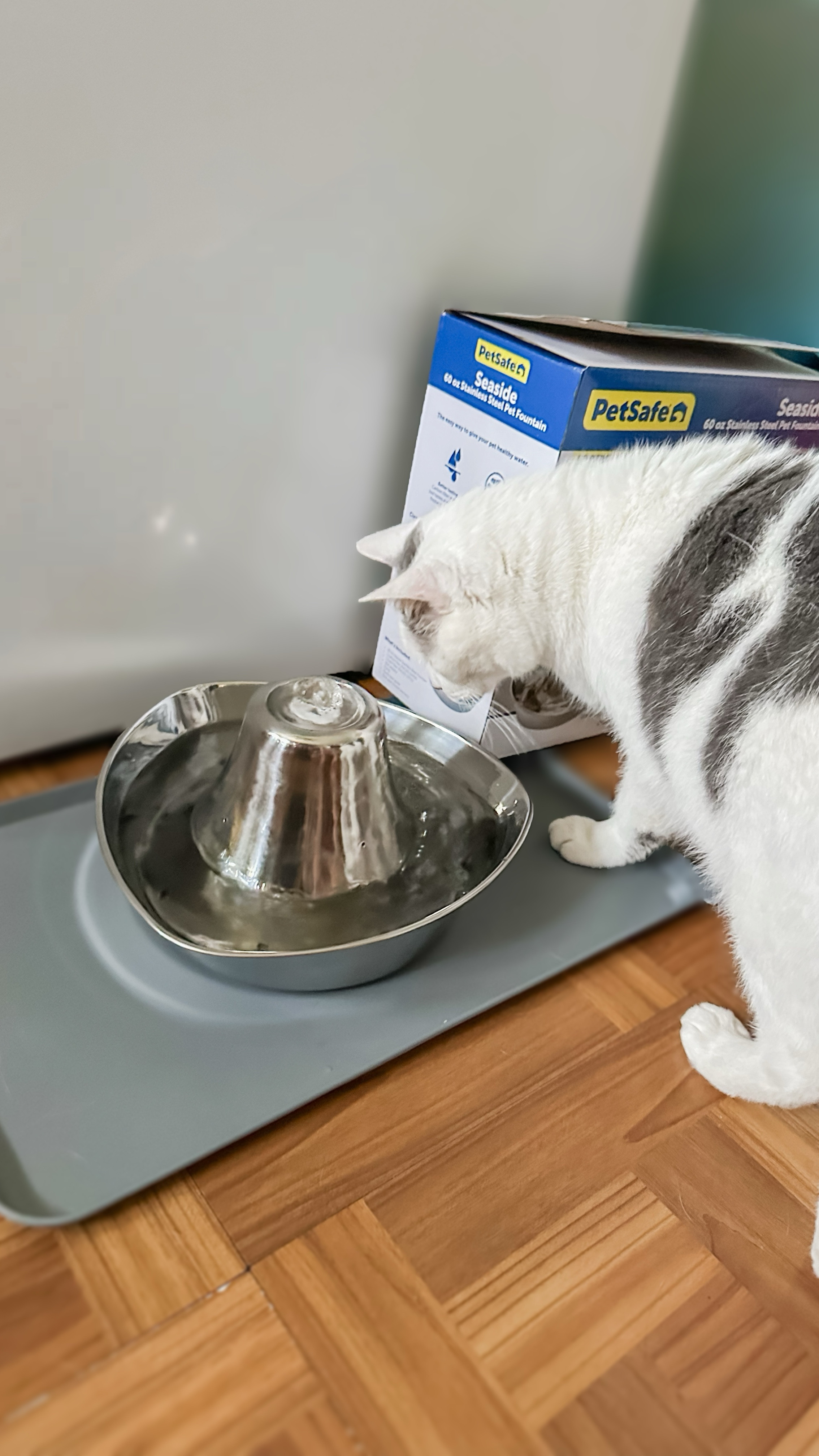 Keeping my pets hydrated in this summer heat is super important that’s why I love the PetSafe Stainless Steel Fountain. It holds 60oz of water and is super easy to setup and clean. It’s great when you have both dogs and cats which we have both in my house. 
.
All PetSafe fountains are 20% off in July

#LTKFamily #LTKHome