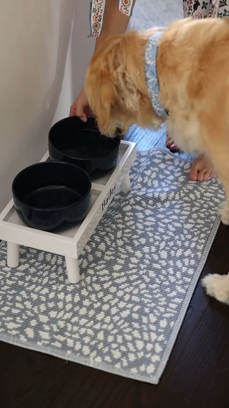 Bailey’s new bowl! 

#LTKhome