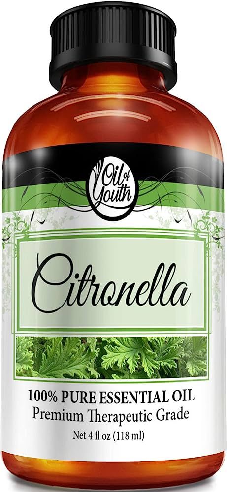 Oil of Youth Essential Oils 4oz - Citronella Essential Oil - 4 Fluid Ounces | Amazon (US)