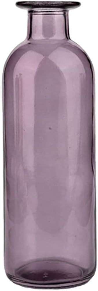 Smooth Face Clear Glass Vase for Flower, Bud Vase Hydroponic Planter for Home, Office, Room, Part... | Amazon (US)