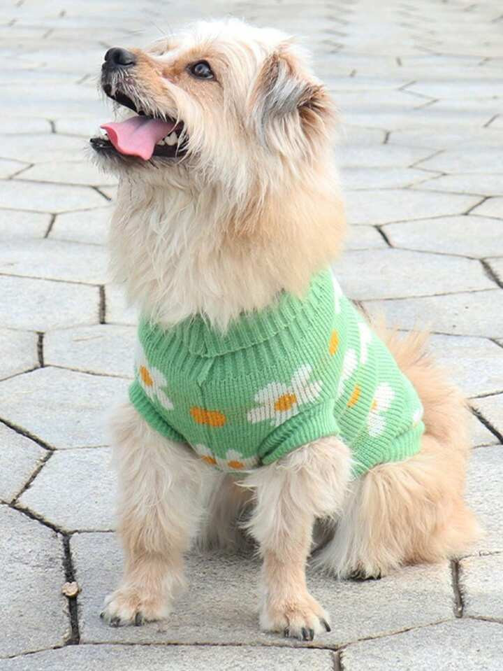 1pc Autumn And Winter New Cute Floral Pet Green Sweater, Cat Clothing, Pet Clothing, Dog Sweater | SHEIN