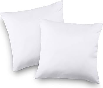 Utopia Bedding Throw Pillows Insert (Pack of 2, White) - 18 x 18 Inches Bed and Couch Pillows - I... | Amazon (US)