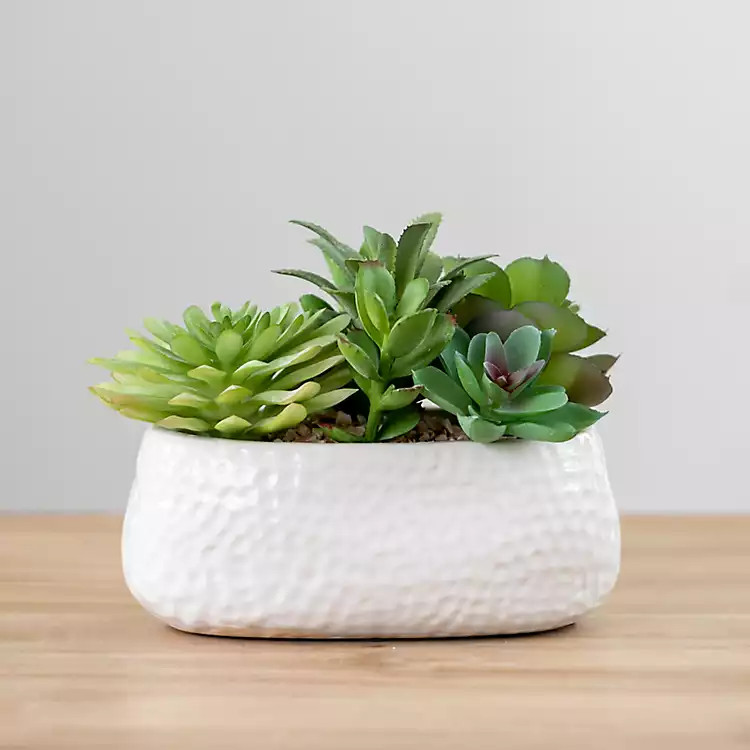 Mixed Succulent Arrangement in White Ceramic Bowl | Kirkland's Home