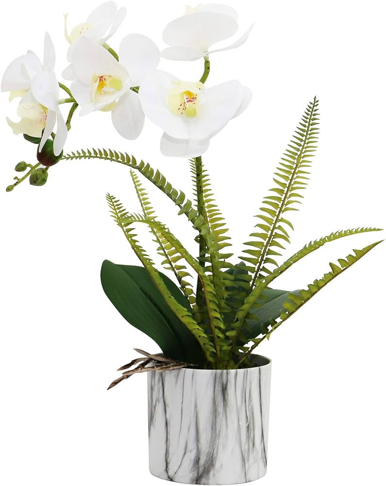 Olrla White Orchid Artificial Flowers in Pot, Fake Real Touch Orchid Flowers, Decoration for Kitc... | Amazon (US)