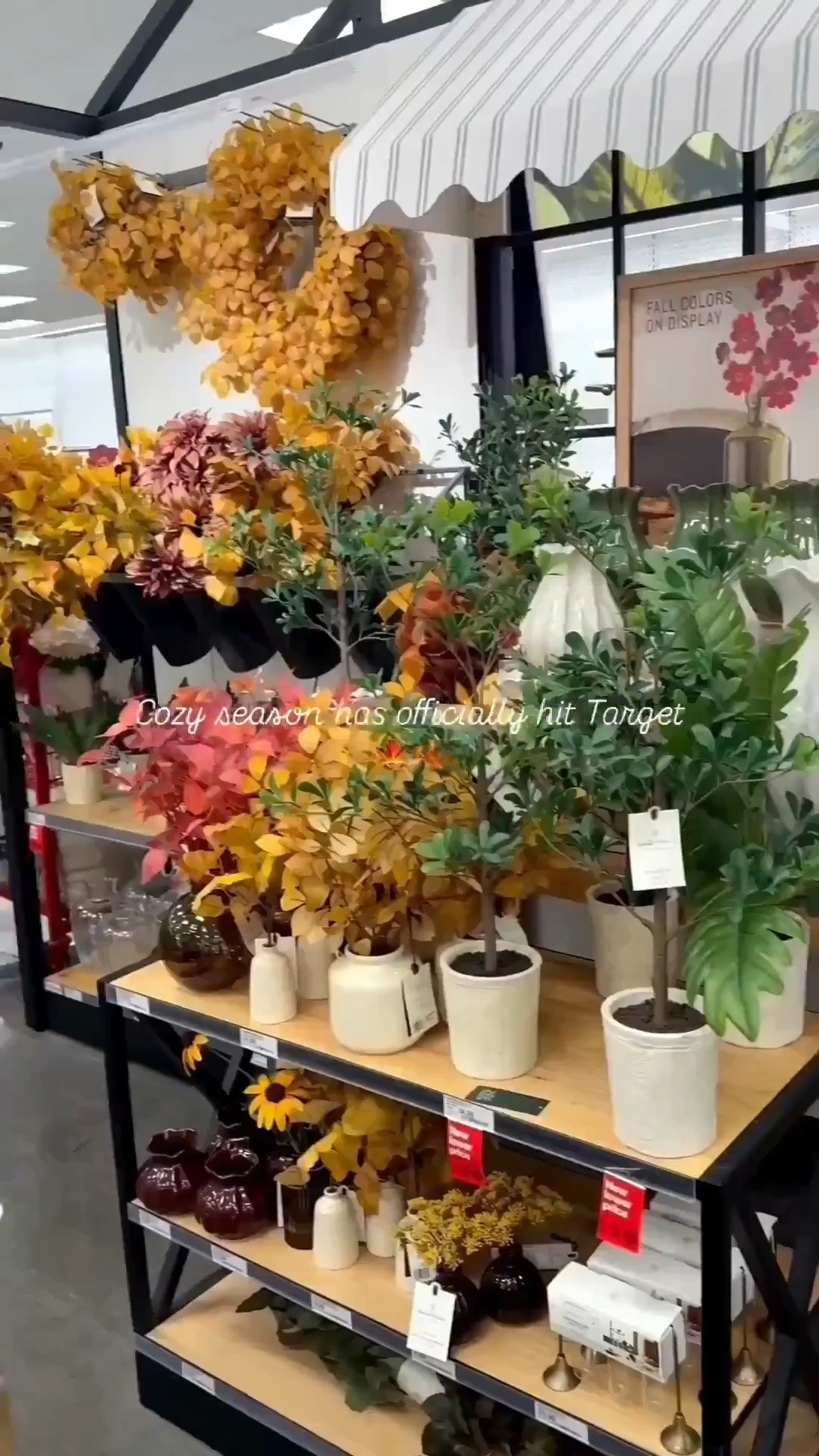 Fall has hit Target 🍁🍂 I’m loving all of the fall colors 😍 

Target, fall home decor, hosting, fall tablescape, Thanksgiving hosting, pumpkins, table setting

#LTKSeasonal #LTKHome #LTKvlog