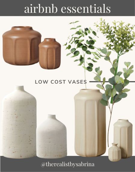 Low cost vases and stems perfect for your Airbnb

#LTKunder50 #LTKunder100 #LTKhome